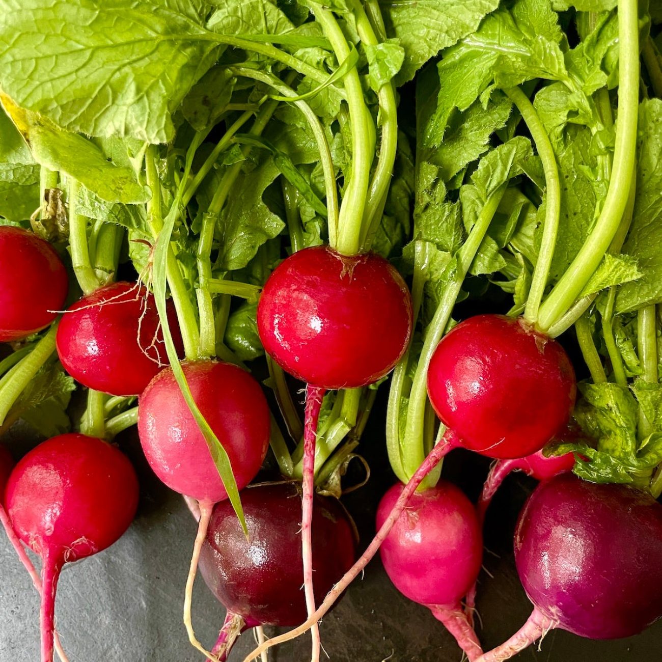 Red Radish Cheese Spread