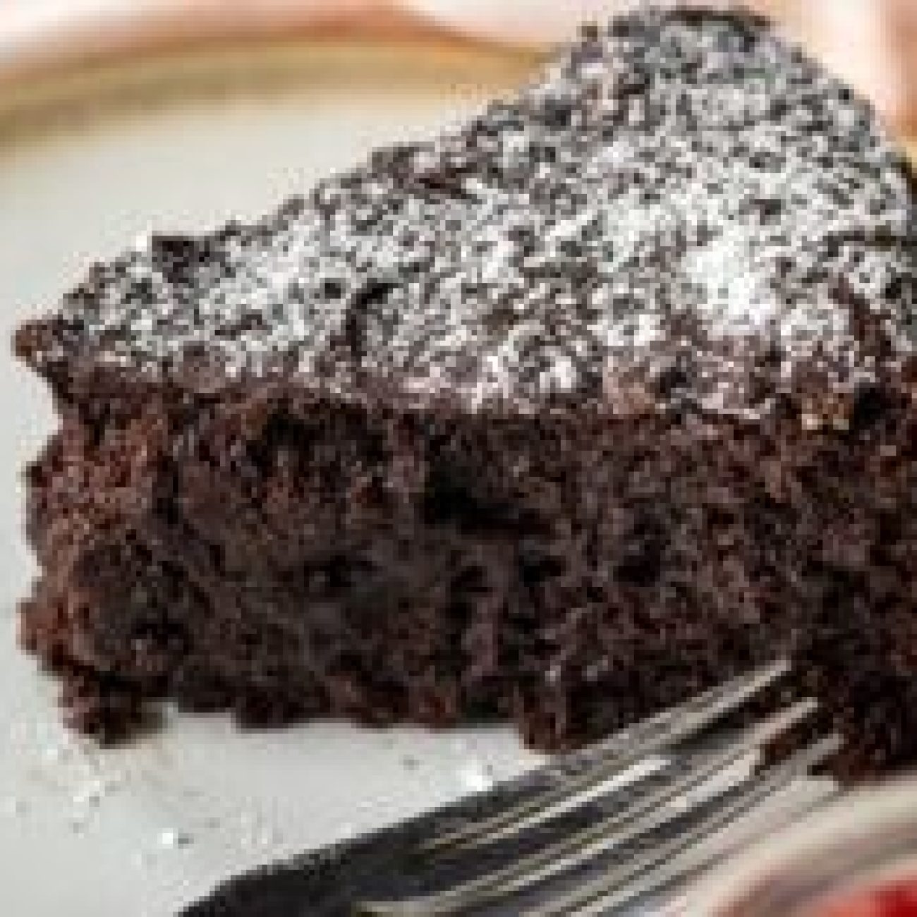 Rich Low Fat Chocolate Cake Kosher-Dairy