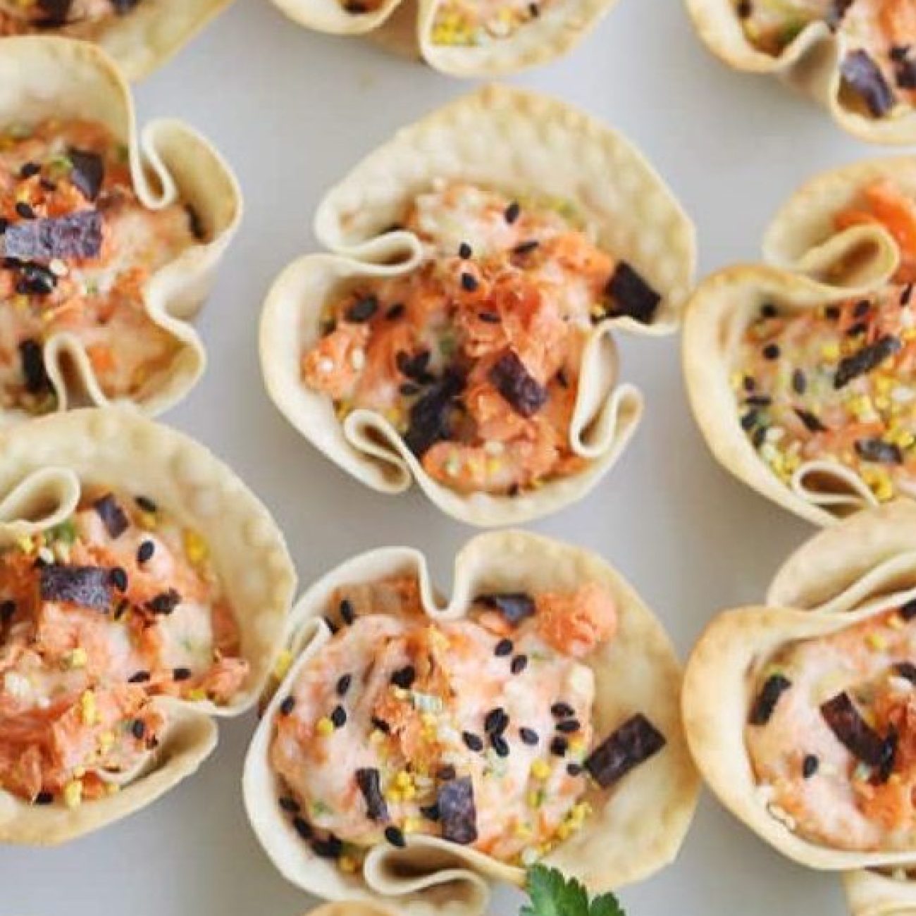 Salmon Wontons