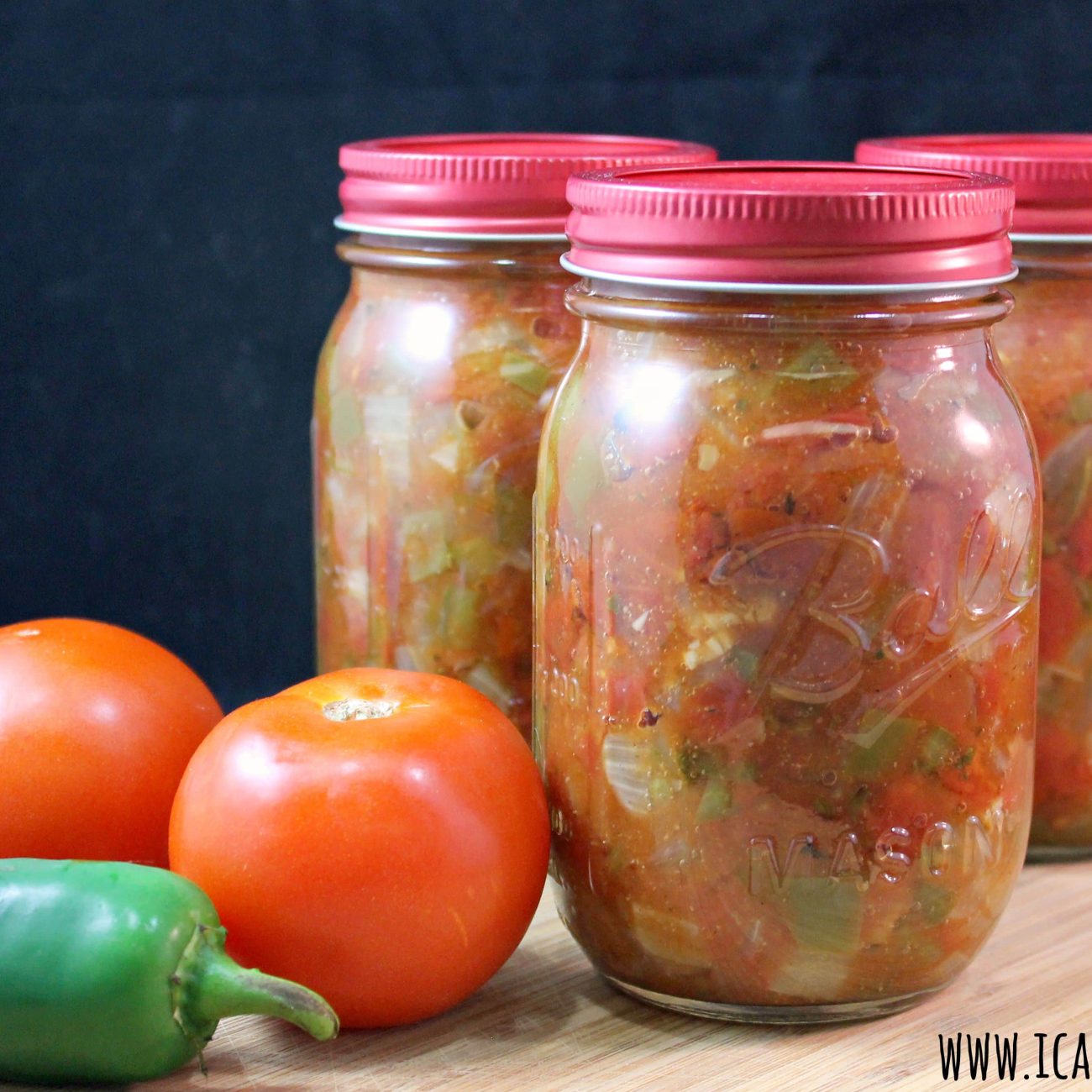 Salsa Mix In A Jar