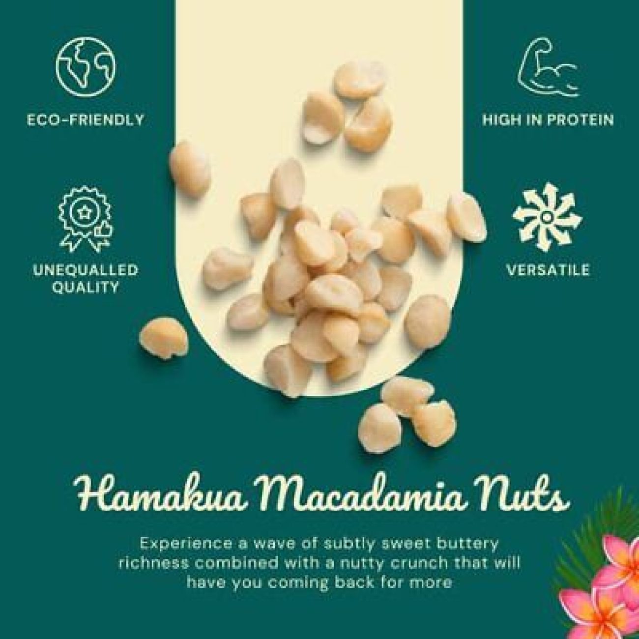 Savory Macadamia Nuts