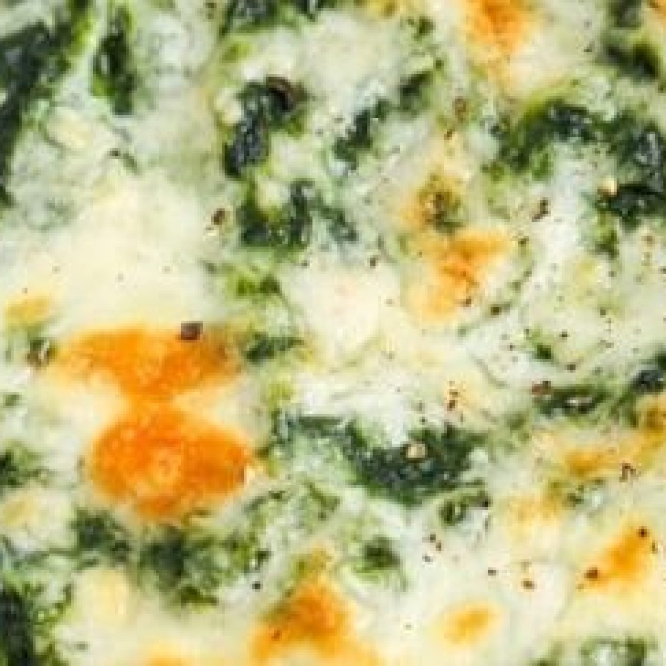 Scalloped Spinach Casserole