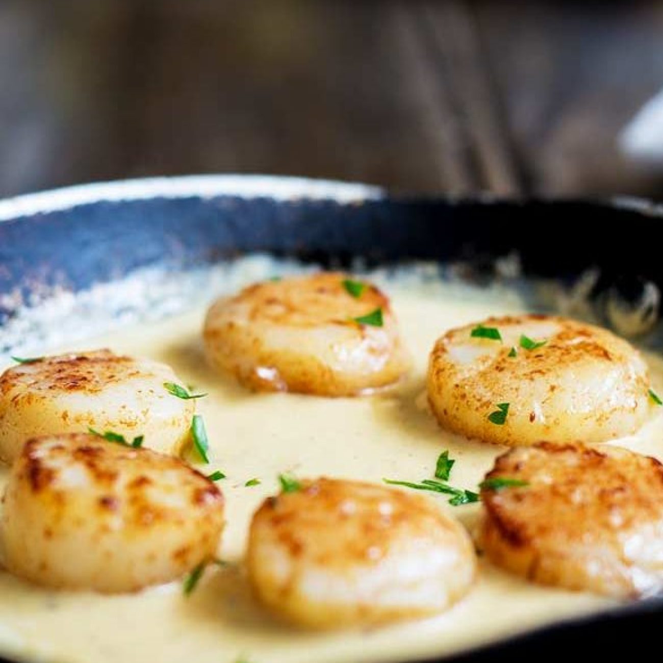 Scallops In Pernod And Cream