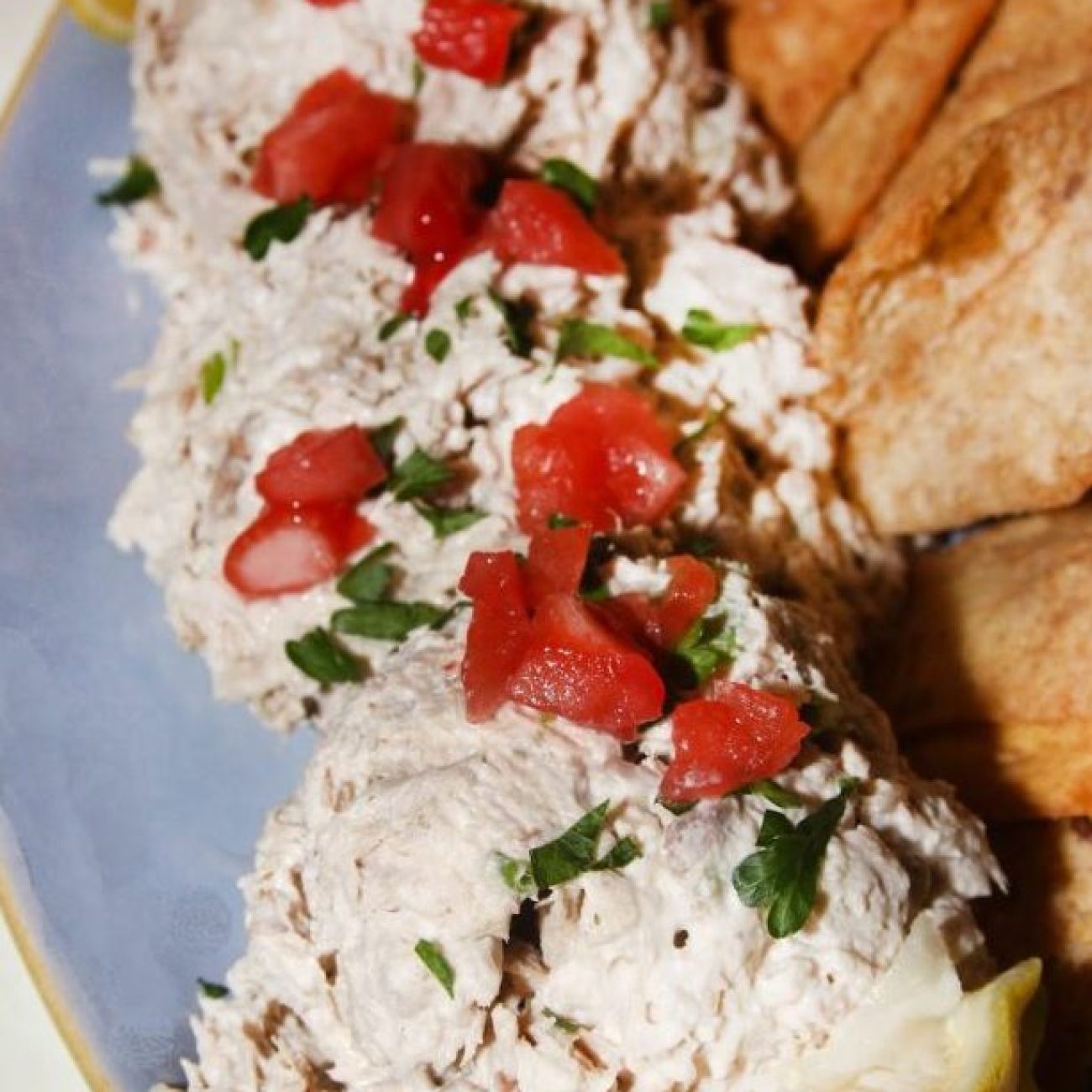 Sheilas Smoked Tuna Dip