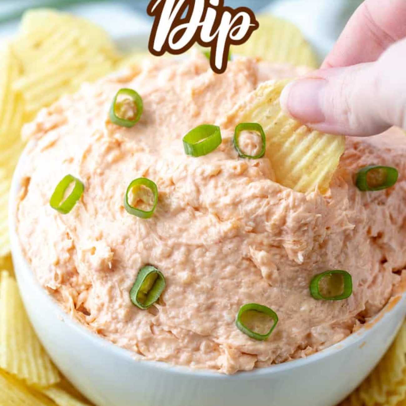 Shrimp And Cheese Dip