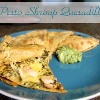 Shrimp And Cilantro Pesto Quesadilla