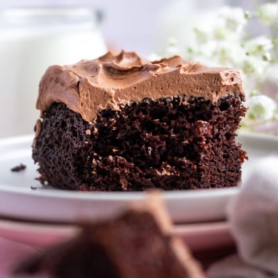 Skinnier Moist Chocolate Snack Cake