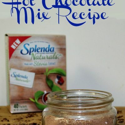 Sugar-Free Hot Chocolate Made With Stevia