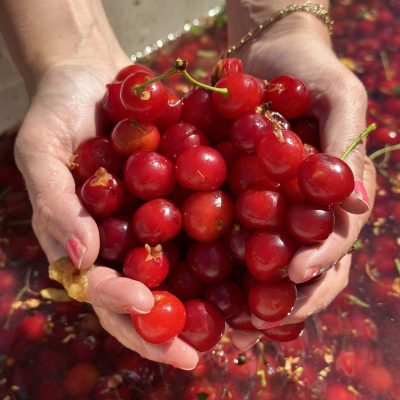 Tangy Sour Cherry Salsa Recipe For An Exotic Twist