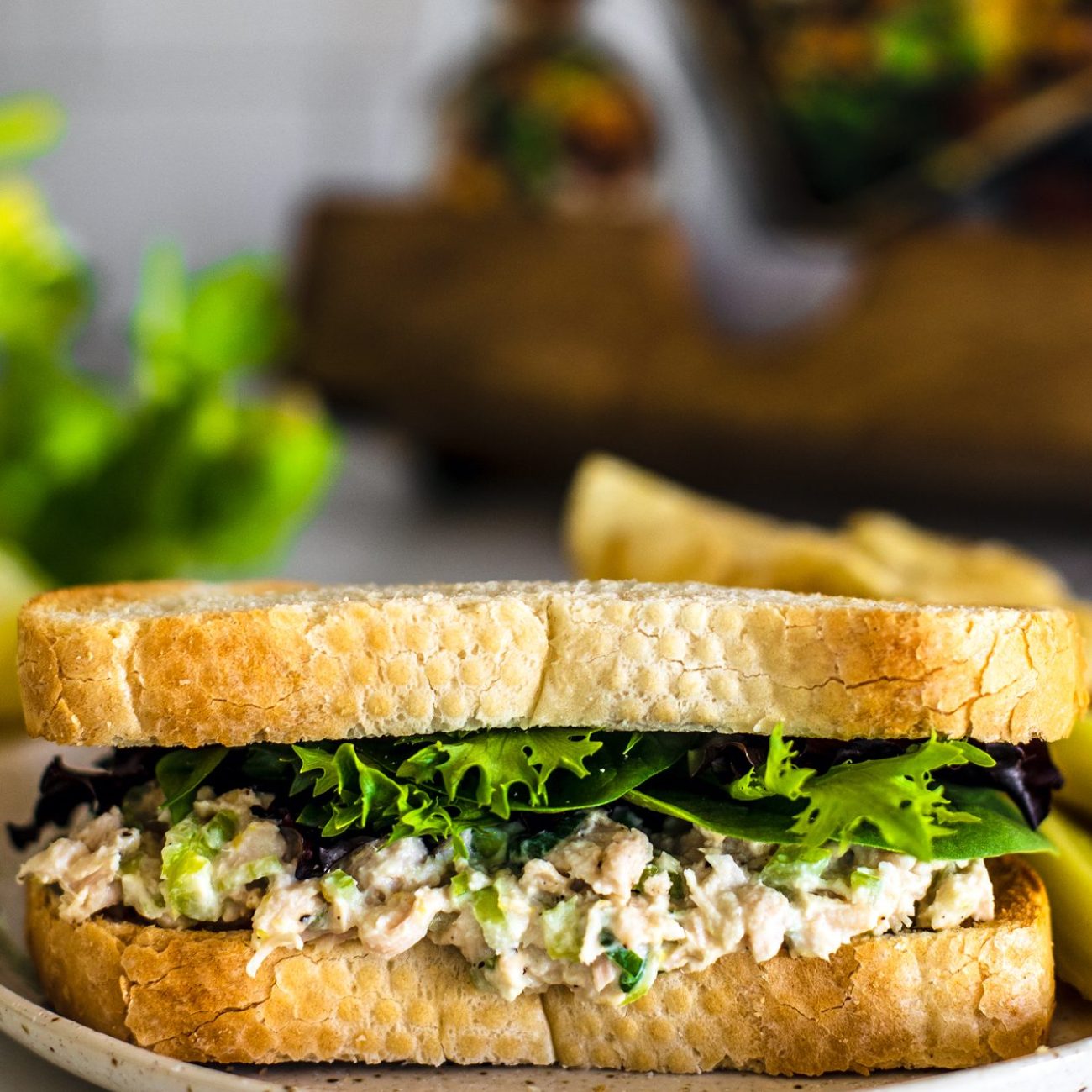 Ultimate Chicken and Tuna Salad Sandwich Recipe